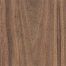 Walnut Veneer